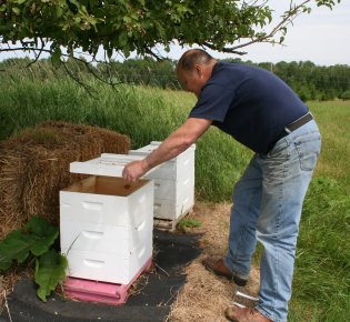 Quaker Bill and his bees, Harrisville, Michigan