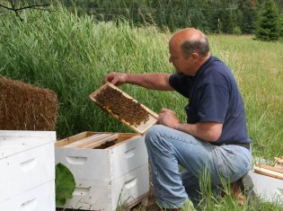 Quaker Bill and his bees, Harrisville, Michigan