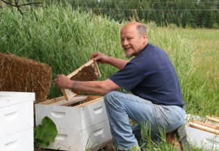 Quaker Bill and his bees, Harrisville, Michigan