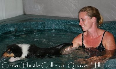 Collie puppy filmed swiming at Quaker Farm for Animal Planet