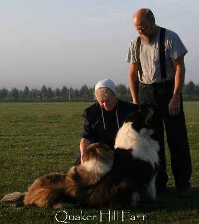 Bill and Kimberly Anne with their farm Collies during filming by Animal
Planet at Quaker Hill Farm.