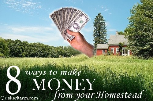 Make money from your homestead