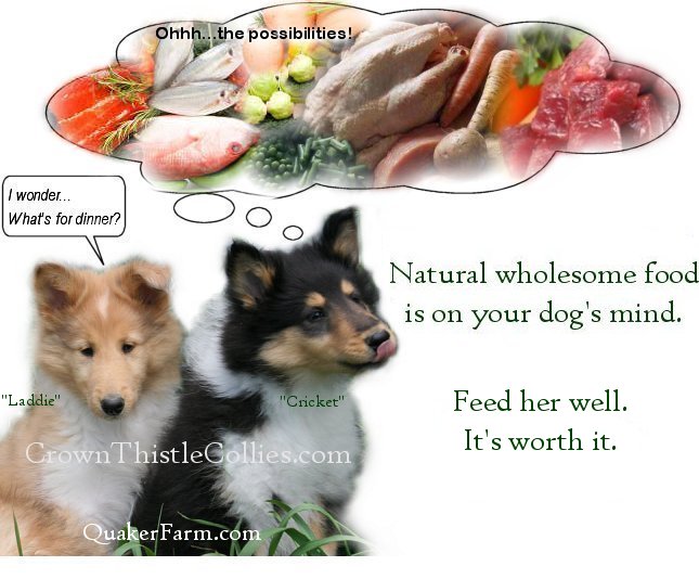 Quaker Farm natural dog food that Collies and all dogs like.  Natural food is better than commercially processed dog food.